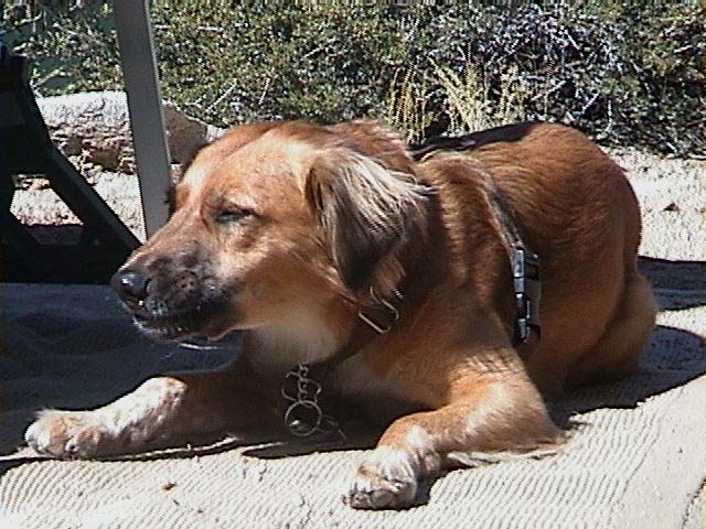 DSC00032