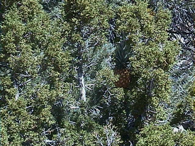 DSC00037