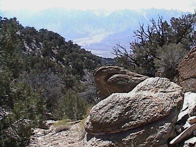 DSC00052
